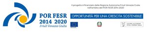 Progetti finanziati nel quadro del POR-FESR FVG 2014-2020